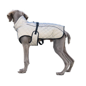 Why Your Furry Friend Needs a Reflective Pet Full-Body Tactical Jacket